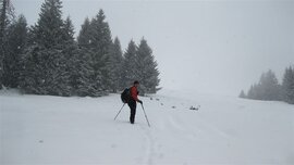 Sieht fast aus wie eine Skitour...