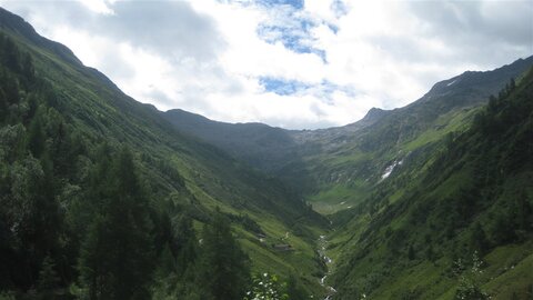 Blick auf die Alm