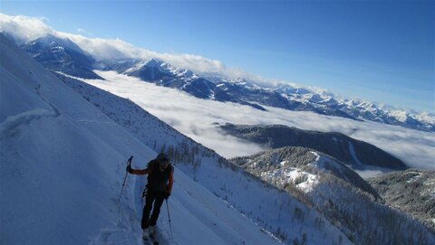 Rundblick