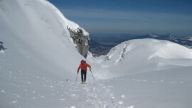 Unten schon grün