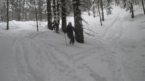 Abfahrt Ackersbachtal - Skihase 1...