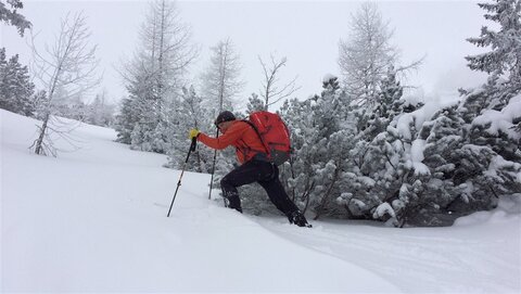 Dafür viel Neuschnee Dafür viel Neuschnee