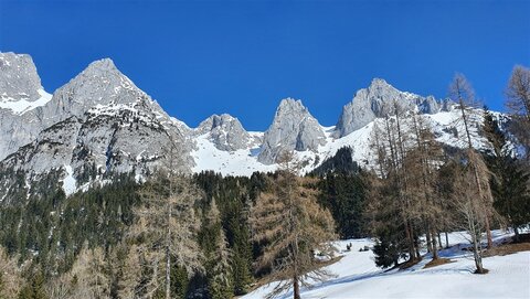 Rückblick