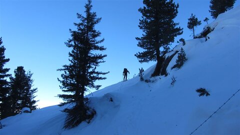 Wieder auf Ski