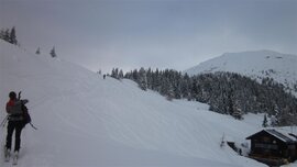 Bei der Winklerner Alm, hinten der Gipfel
