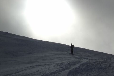 Richtung Sonne...