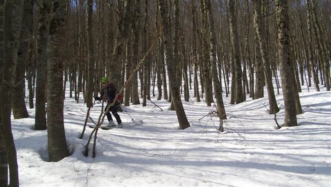 Eng gesteckt Eng gesteckt