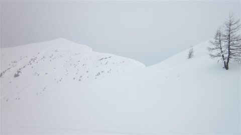 Jedlkopf