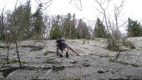 2. Tour - wieder zum schleichen