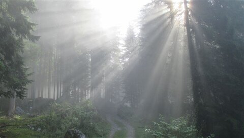 Mystisch