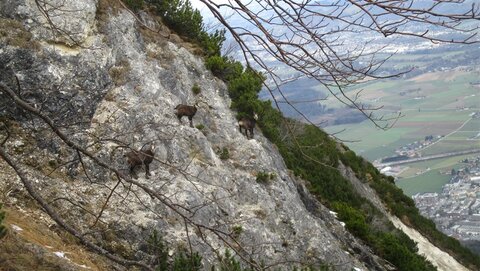 Betrieb am Kienbergsteig