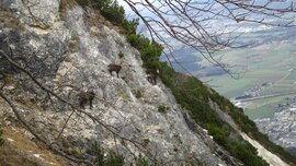 Betrieb am Kienbergsteig