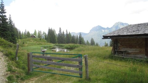 Hakaralm - Moor