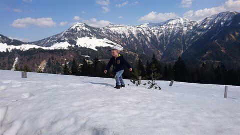 Schon bei der Alm