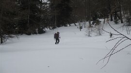 Aufstieg aus dem Ackersbachtal