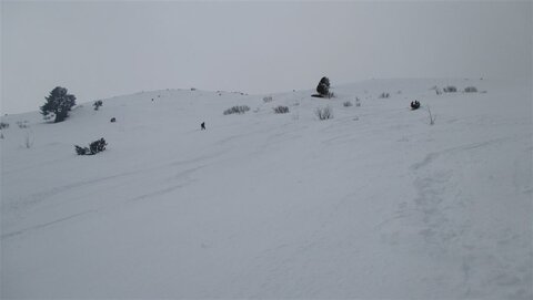 Cooler Hang, Schnee schon zu schwer