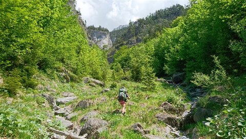 Weg ist da keiner mehr