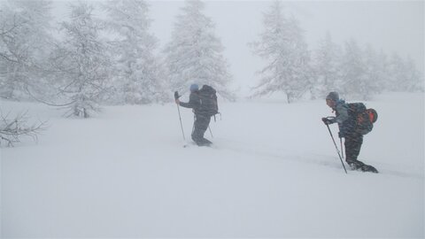 ... aber nicht lang, dann wieder Schneetreiben