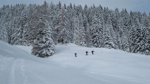 Noch Topbedingungen