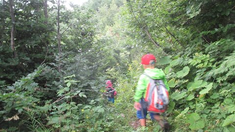 Pfaffensteig im Regen