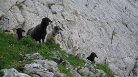Zuschauer beim Einstieg Zuschauer beim Einstieg