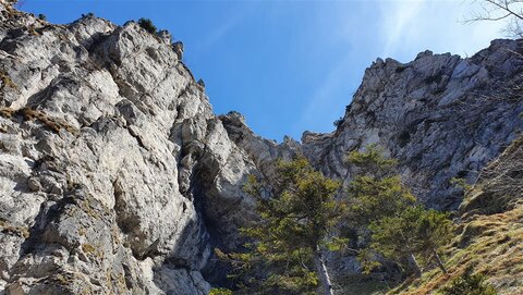 Dolomitig schauts am Nockstein aus