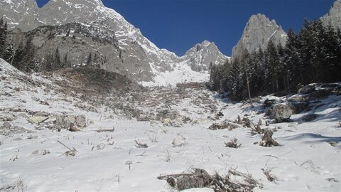 Viel zu wenig Schnee