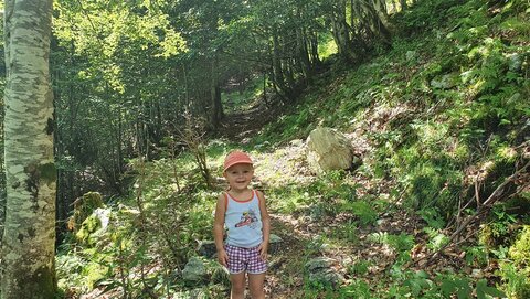 Heidi am Weg