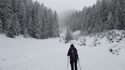 Wieder führt eine Spur direkt hinauf