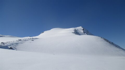 Gletscher - noch unverspurt, aber viel los