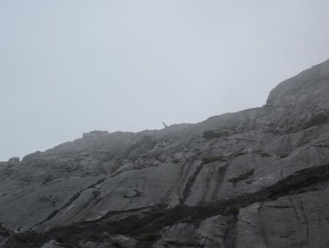 Ein ungläubiger Zuschauer im Nebel