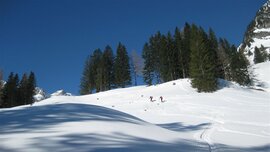 Aufstieg in der Sonne