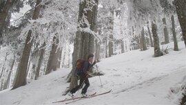 Raureif, aber kaum Schnee