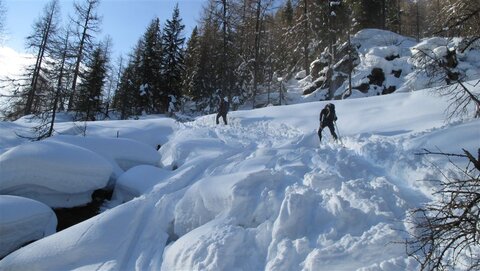 Genug Neuschnee