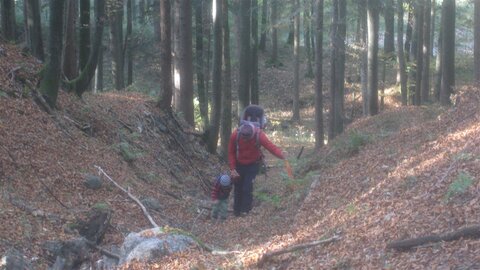 Durch die Botanik