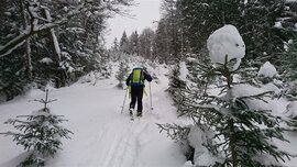 Winterwonderland Winterwonderland