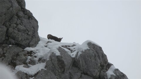 Klettersteig? Brauch ich nicht!