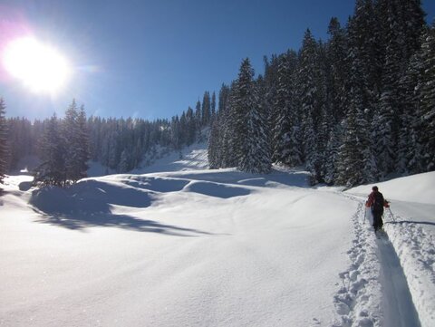 Traumtagerl Traumtagerl