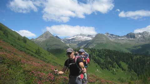 Flachlatscherei Flachlatscherei