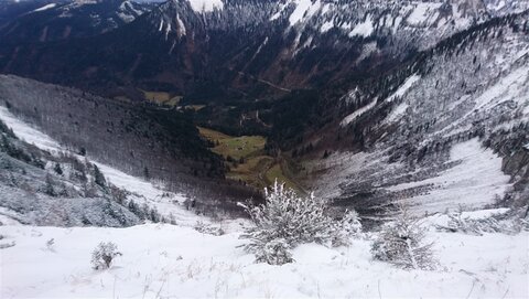 Tiefblick ins Grüne