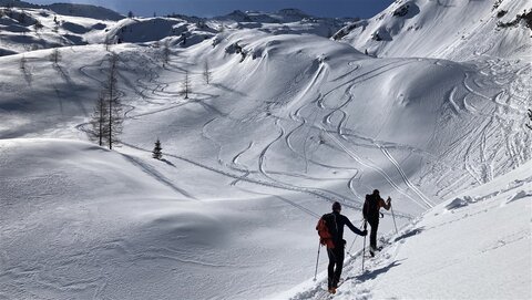 Ungewöhnliche Spur