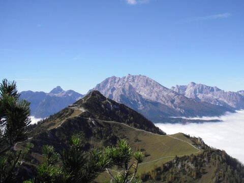 Dem Nebel entflohen