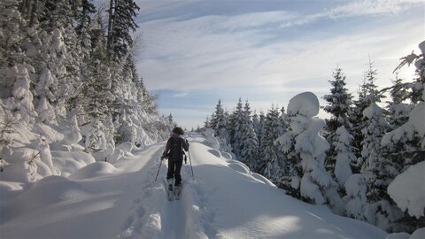 Wieder Winterwonderland