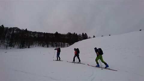 Aus dem Ackersbachtal