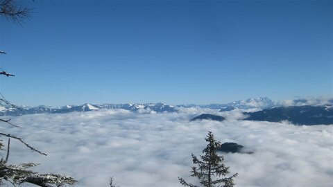 Wieder über dem Nebel