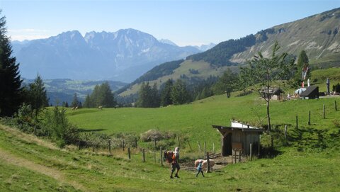 Nur noch an den Schweindln vorbei, dann sind wir da