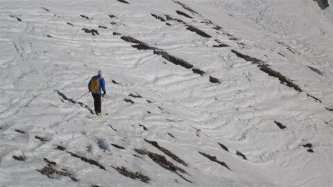 Schneesucher