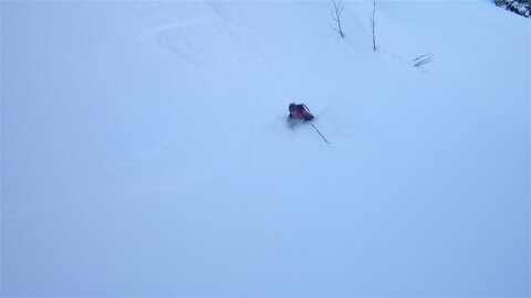 Bis zur Hüfte im Powder