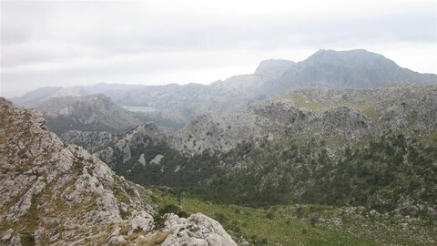 Blick auf den Höchsten (Puig Major (1447m))