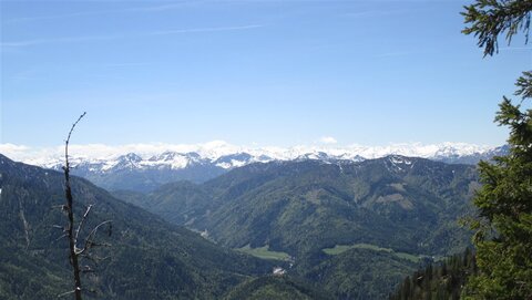 Hauptkamm
